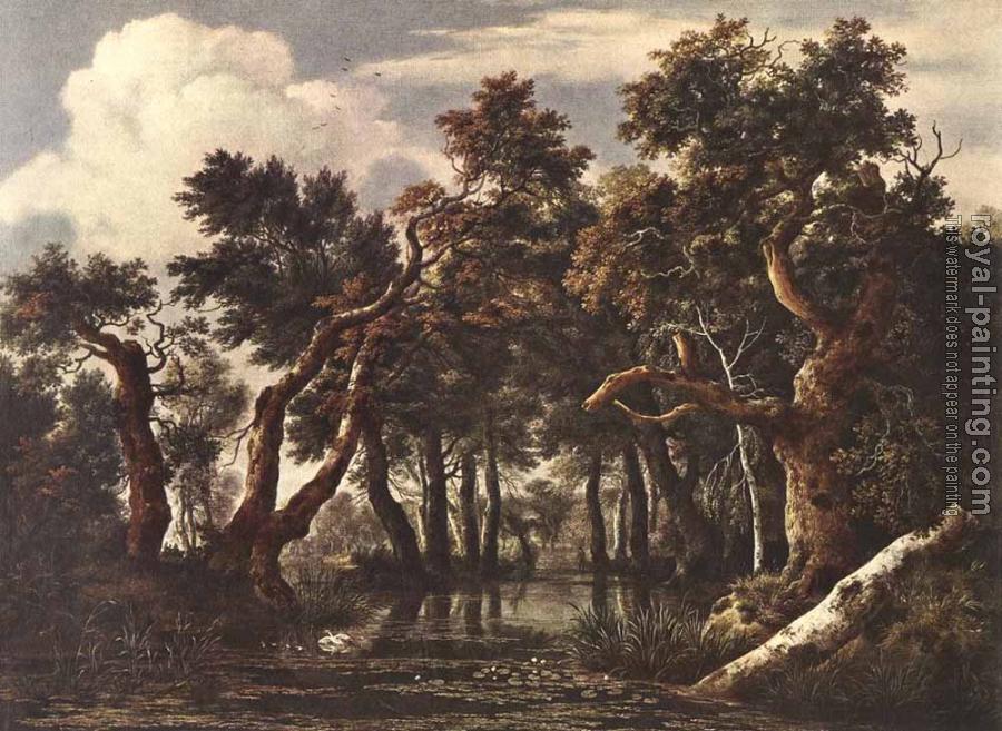 Jacob Van Ruisdael : The Marsh In A Forest